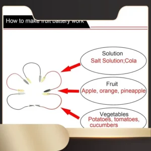 Fruit Battery Science Experiment Kit With Electronic Clock And RGB LED For DIY Home Teaching Toy-N36R